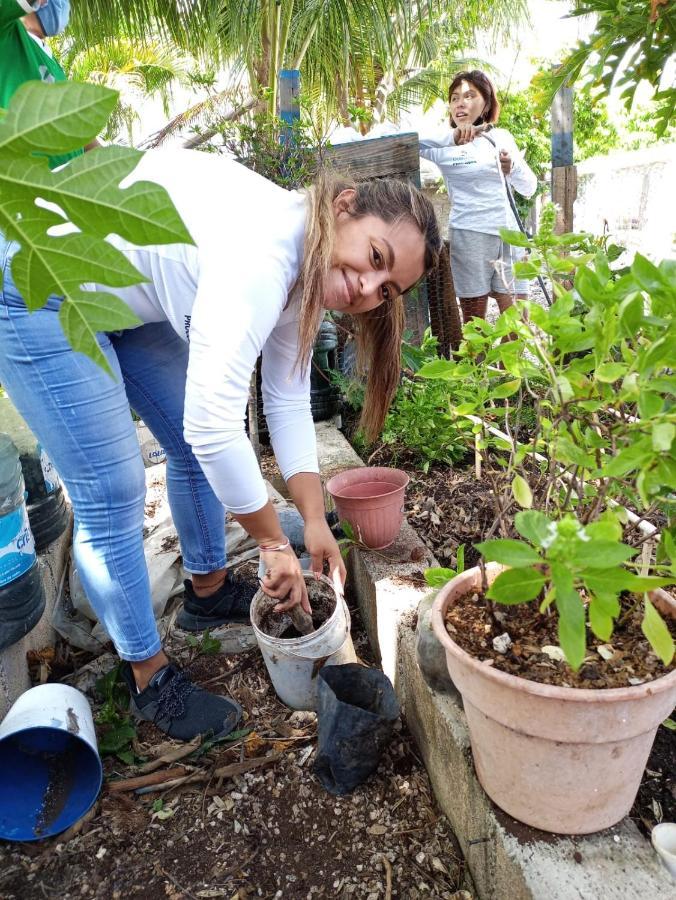 شقة Sustainable Cabain كوزوميل المظهر الخارجي الصورة